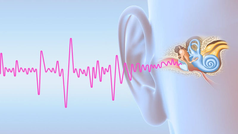 Telinga Berdenging Terus (Tinnitus) Apa Penyebabnya? – PAFI Muara Tebo